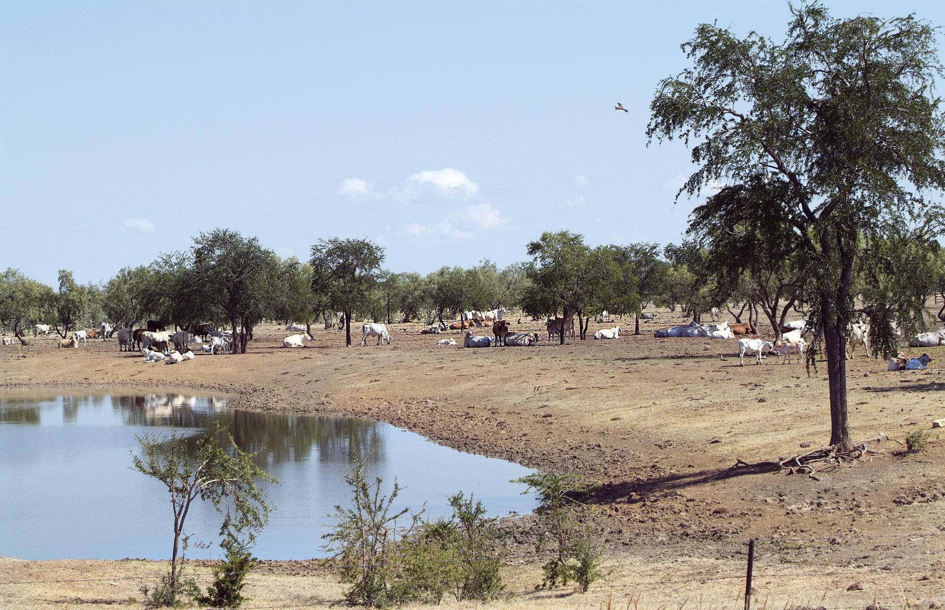 28th. Romeo Roxas: 965,000+ hectares